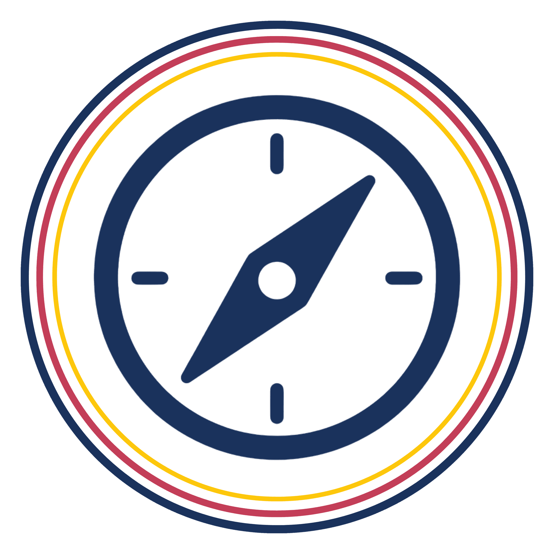 Program and Strategy Leadership Icon