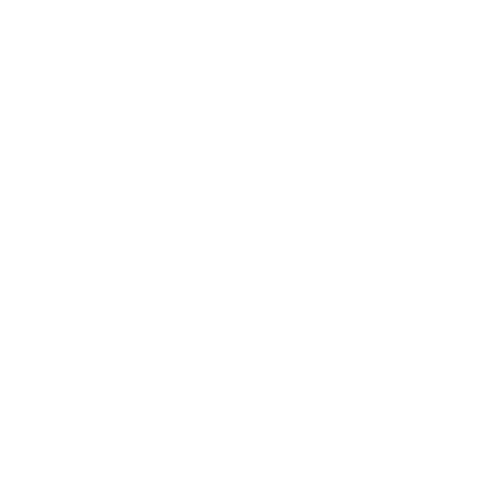 International Program Execution service featuring a female professional studying a globe.